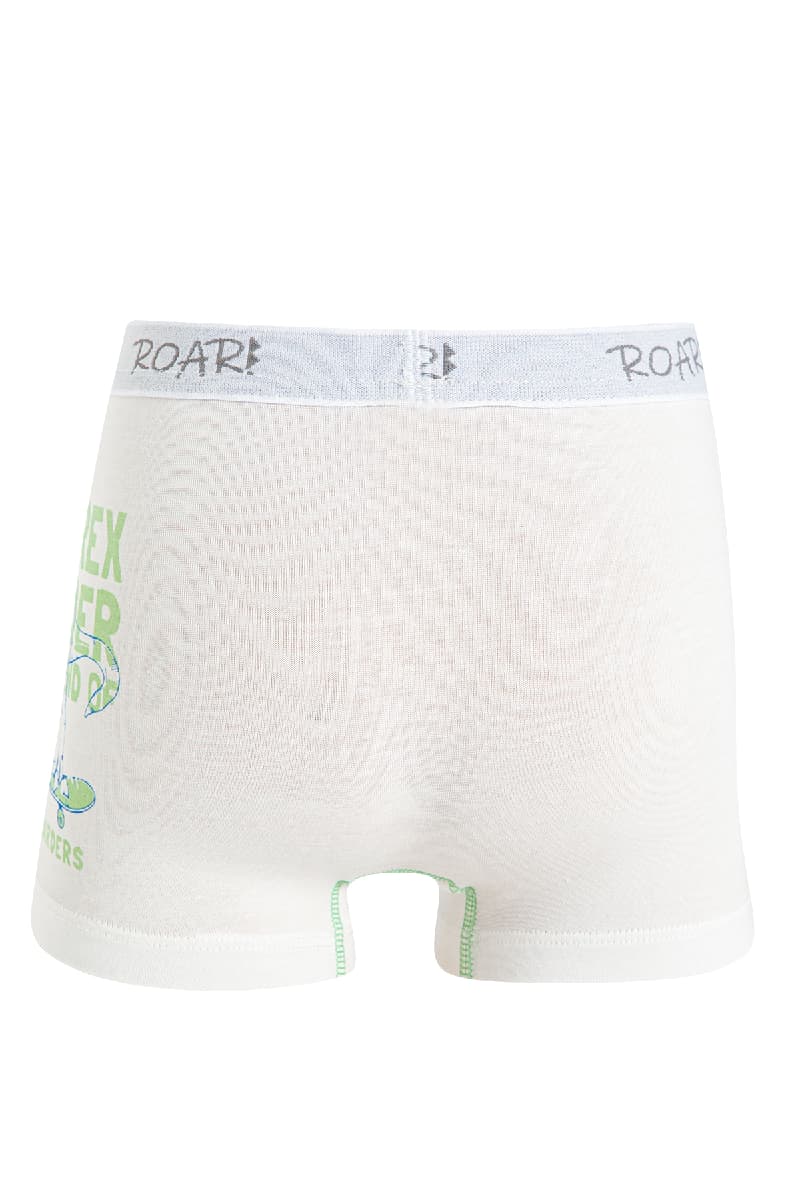 8534 Erkek Çocuk Baskılı Boxer