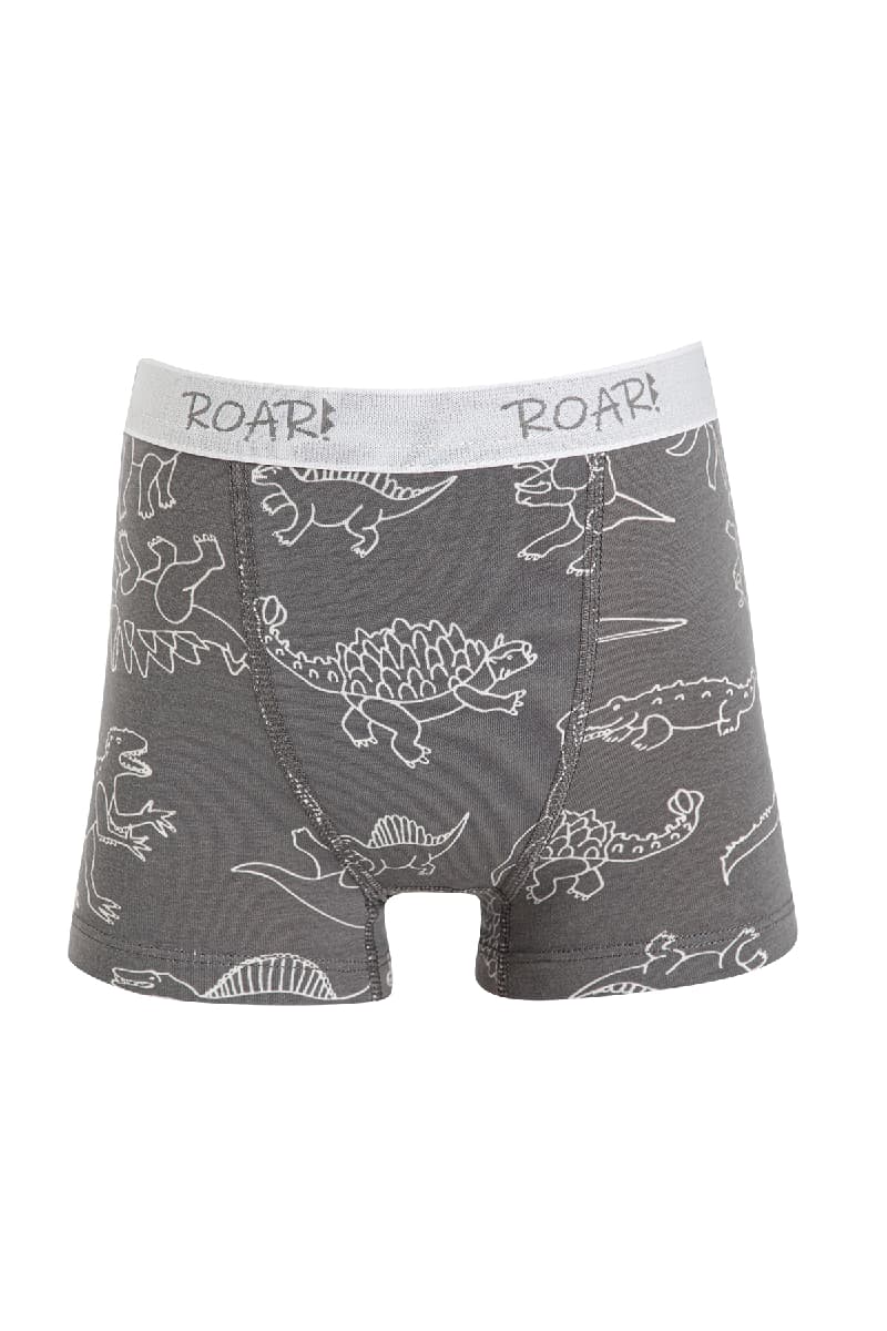8534 Erkek Çocuk Baskılı Boxer