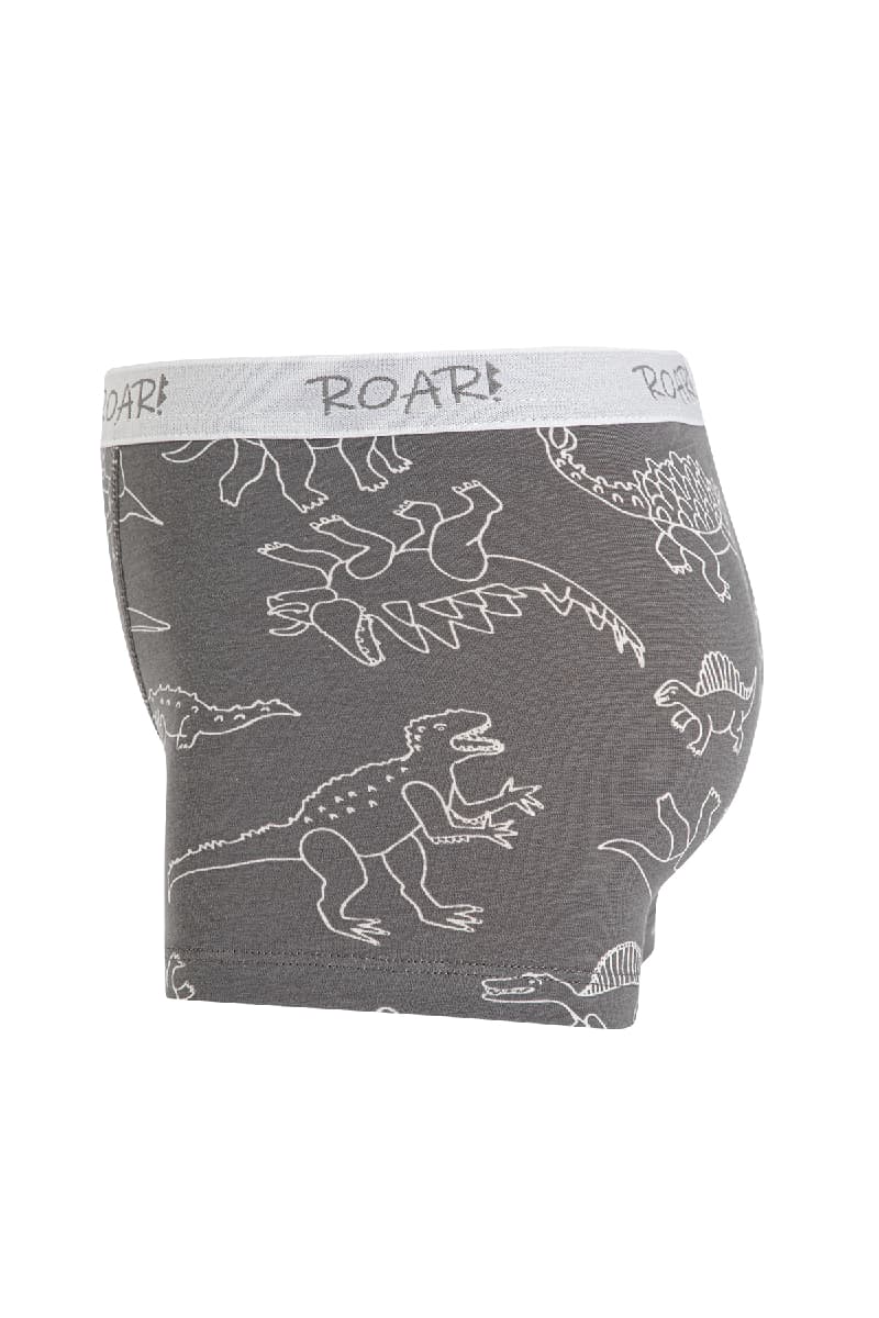 8534 Erkek Çocuk Baskılı Boxer