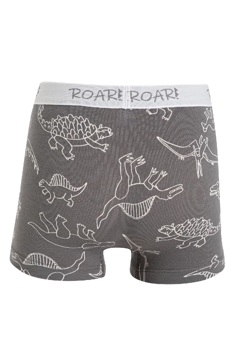8534 Erkek Çocuk Baskılı Boxer