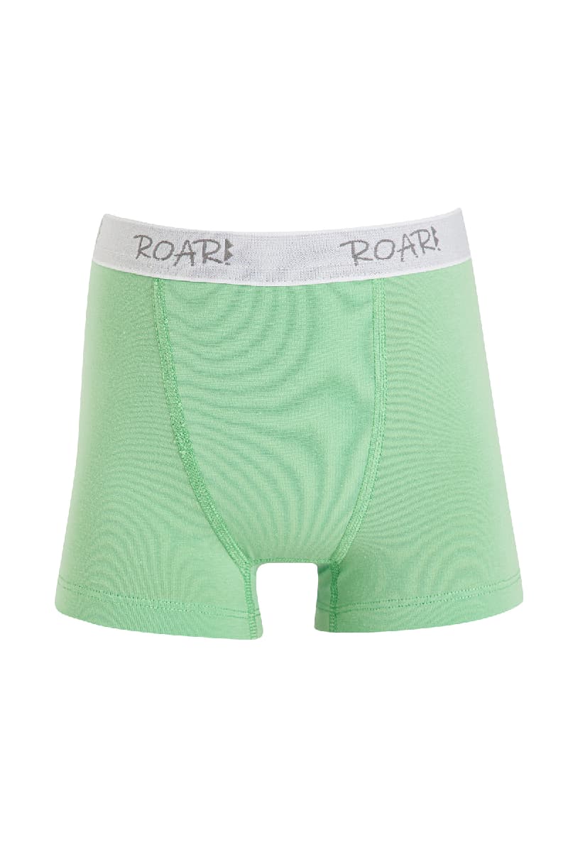 8534 Erkek Çocuk Baskılı Boxer