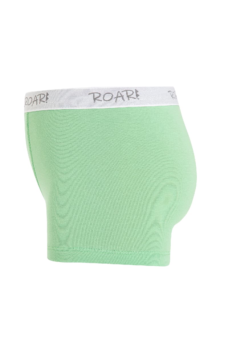 8534 Erkek Çocuk Baskılı Boxer