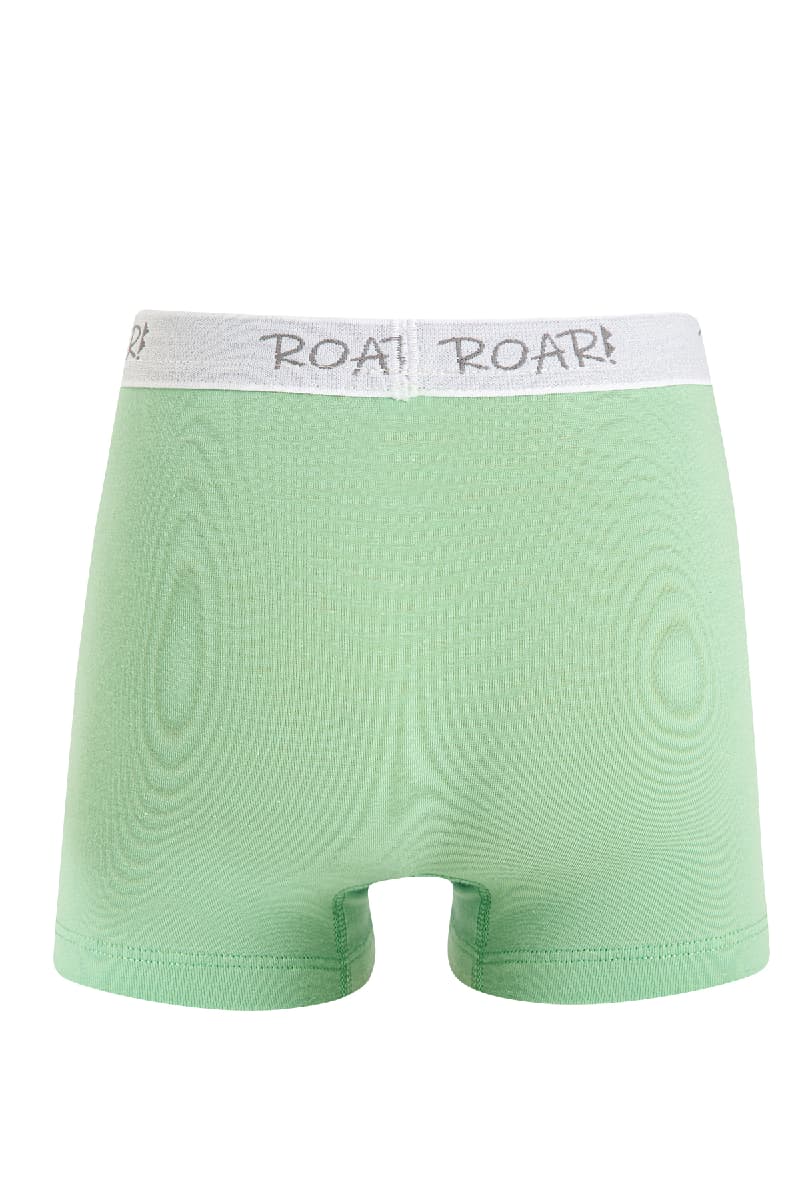 8534 Erkek Çocuk Baskılı Boxer