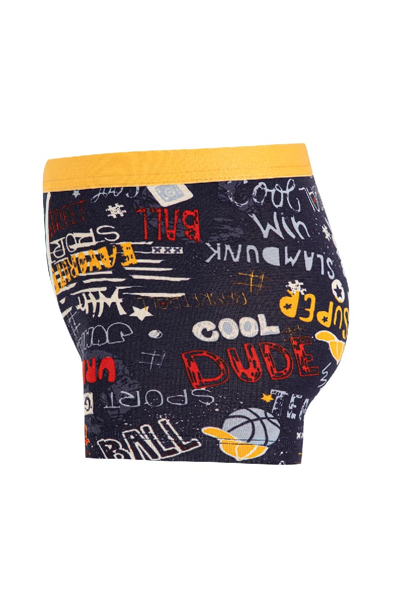 8546 Erkek Çocuk Boxer