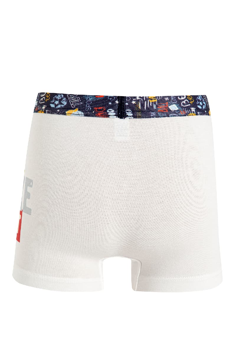8546 Erkek Çocuk Boxer