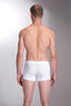 9151 Erkek Modal Boxer